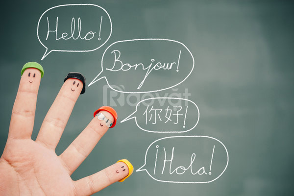 Đào tạo ngoại ngữ cho người mất gốc